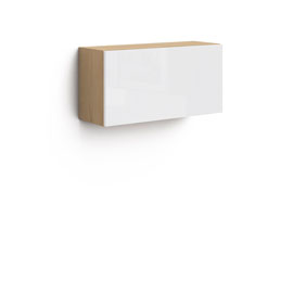 Полка с дверью Магнолия (дуб Ривьера)